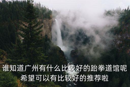 誰知道廣州有什么比較好的跆拳道館呢希望可以有比較好的推薦啦