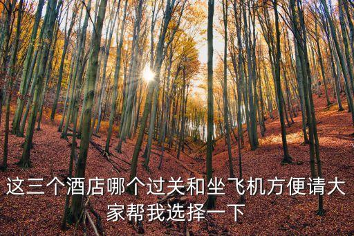 這三個酒店哪個過關和坐飛機方便請大家幫我選擇一下