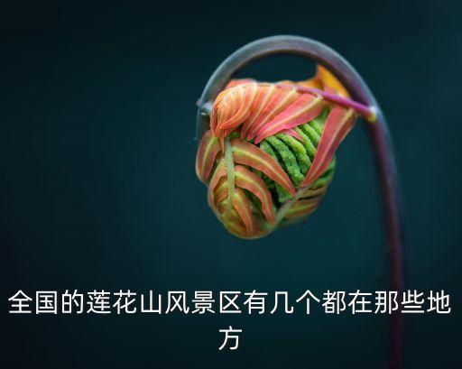 廣州蓮花山風景區 景點，廣州蓮花山有什么可以玩