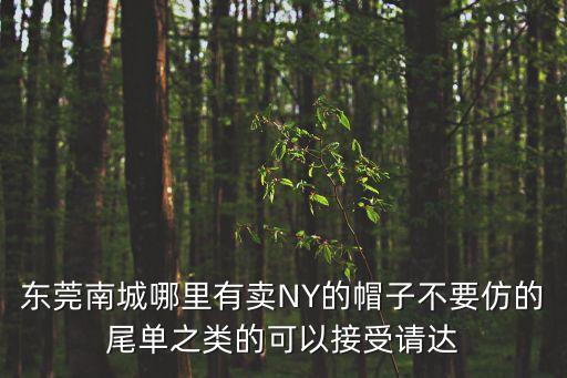 東莞南城哪里有賣NY的帽子不要仿的尾單之類的可以接受請達