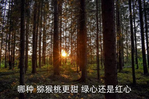 哪種 獼猴桃更甜 綠心還是紅心