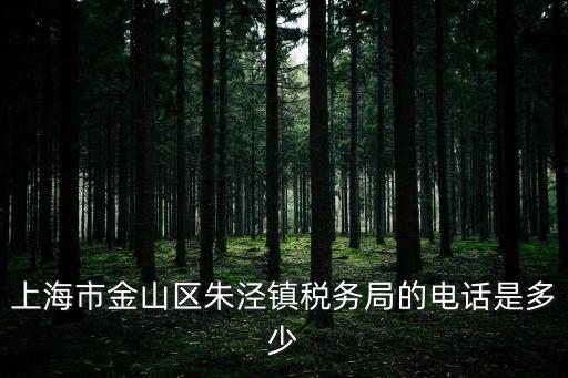 上海市金山區(qū)朱涇鎮(zhèn)稅務(wù)局的電話是多少