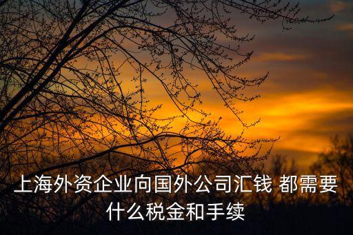 上海市國資委 境外企業(yè)，上海市區(qū)的國企單位有哪些