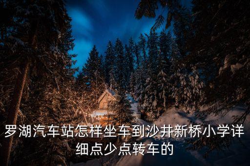 羅湖汽車站怎樣坐車到沙井新橋小學(xué)詳細(xì)點少點轉(zhuǎn)車的
