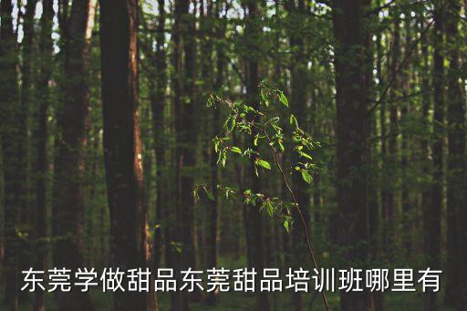 東莞學(xué)做甜品東莞甜品培訓(xùn)班哪里有