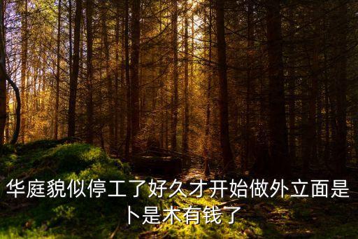 華庭貌似停工了好久才開始做外立面是卜是木有錢了
