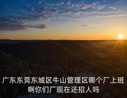 廣東東莞東城區(qū)牛山管理區(qū)哪個廠上班啊你們廠現(xiàn)在還招人嗎