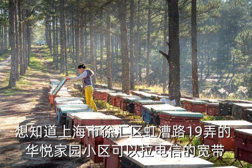 上海市華悅家園地址，想知道上海市徐匯區(qū)虹漕路19弄的 華悅家園小區(qū)可以拉電信的寬帶