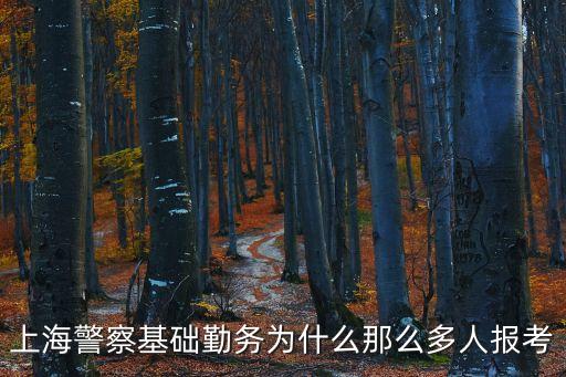 上海市基礎勤務工作怎么樣，去上海工作好不好