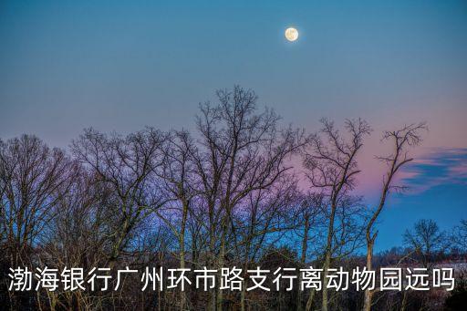 渤海銀行廣州環市路支行離動物園遠嗎