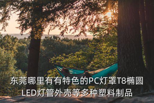 東莞日星塑料制品廠有哪些，東莞有哪些比較專業(yè)軟膠pvc制品廠 專業(yè)而且品質好的工廠
