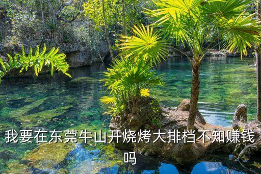 我要在東莞牛山開燒烤大排檔不知賺錢嗎