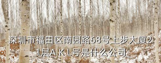 深圳市福田區(qū)南園路68號(hào)上步大廈21層A K L號(hào)是什么公司