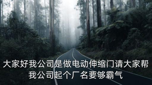 大家好我公司是做電動伸縮門請大家?guī)臀夜酒饌€廠名要夠霸氣