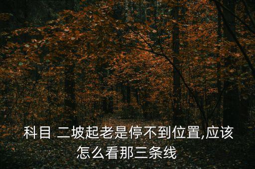  科目 二坡起老是停不到位置,應該怎么看那三條線