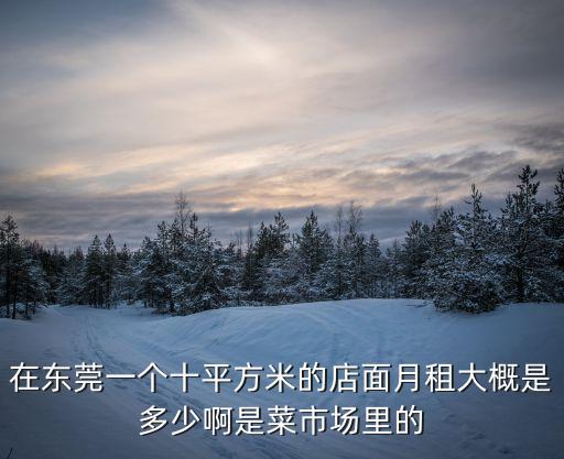 東莞一個(gè)月菜價(jià)，在東莞一個(gè)十平方米的店面月租大概是多少啊是菜市場(chǎng)里的