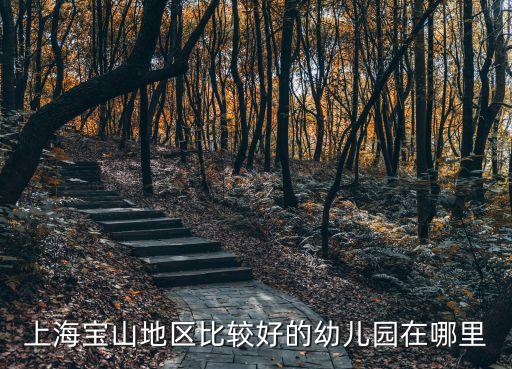上海市寶山三花幼兒園，寶山區大場鎮附近有哪些幼兒園