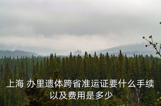 上海市遺體異地運回審批表，我家人在上海死亡了現(xiàn)在放殯儀館如果托尸身回安徽要辦哪些手續(xù)