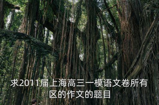 求2011屆上海高三一模語文卷所有區(qū)的作文的題目