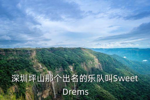 深圳坪山那個出名的樂隊叫Sweet Drems