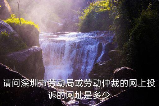請(qǐng)問深圳市勞動(dòng)局或勞動(dòng)仲裁的網(wǎng)上投訴的網(wǎng)址是多少