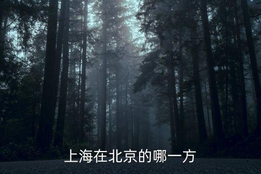 上海市在北京的哪個方向，上海在北京的什么方向