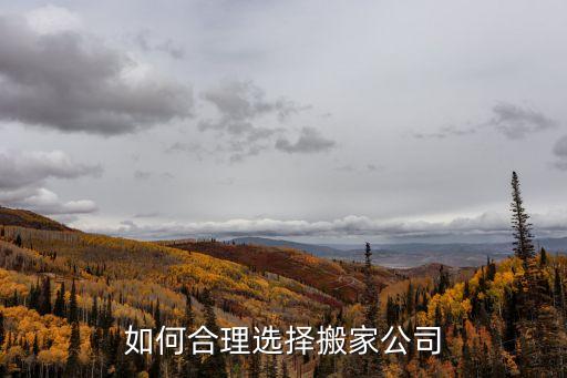 如何合理選擇搬家公司