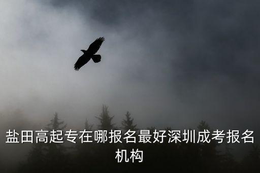 深圳成考高升專，鹽田高起專在哪報名最好深圳成考報名機構