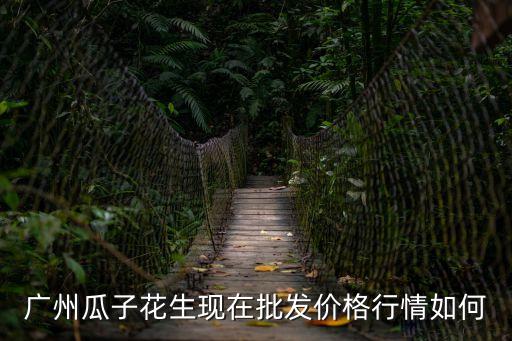 花生在廣州好賣嗎，廣州市去那里批發(fā)瓜子花生好點(diǎn)啊