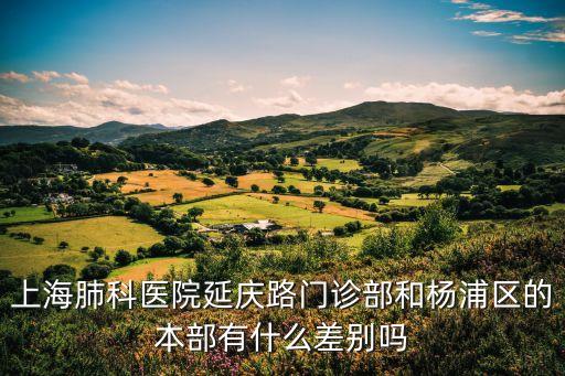 上海市肺科醫(yī)延慶路，上海肺科醫(yī)院延慶路門診部和楊浦區(qū)的本部有什么差別嗎