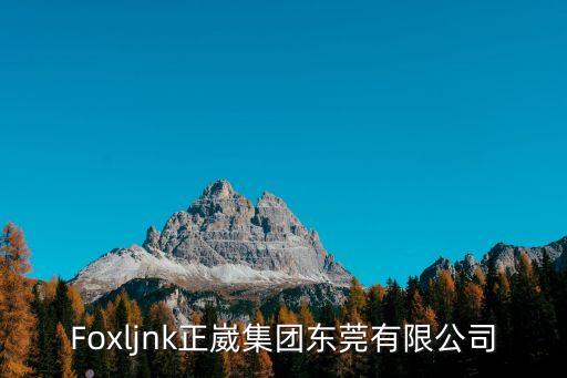 東莞正揚(yáng)公司簡介，東莞正揚(yáng)電子廠是做什么的