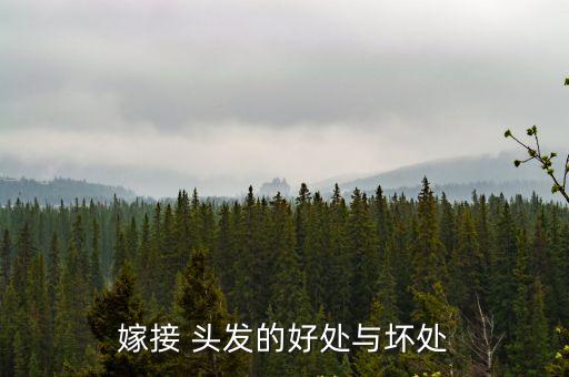 接頭發好嗎,接頭發好嗎?接發后會怎么樣?