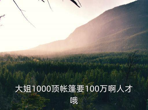 大姐1000頂帳篷要100萬啊人才哦