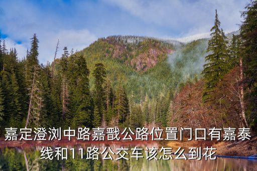 嘉定澄瀏中路嘉戩公路位置門口有嘉泰線和11路公交車該怎么到花