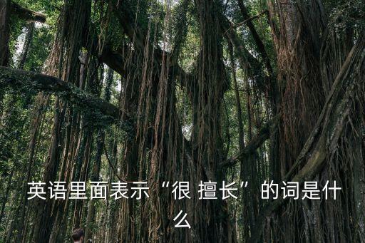 擅長用英語怎么說,講故事用英語怎么說
