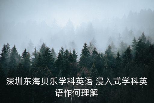 深圳 沉浸式 少兒英語(yǔ)，深圳少兒英語(yǔ)哪個(gè)好