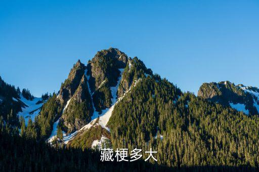 西藏梗