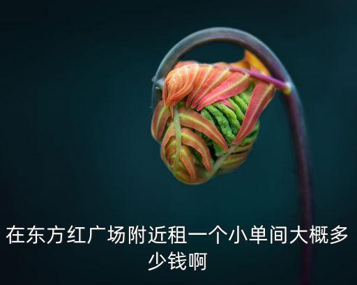 廣州東方廣場出租，禪城區 東方廣場附近有單房出租嗎最便宜月租多少