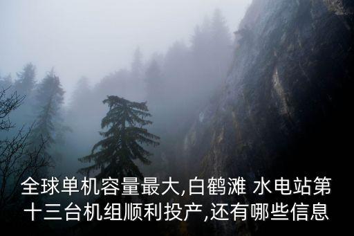 全球單機容量最大,白鶴灘 水電站第十三臺機組順利投產,還有哪些信息