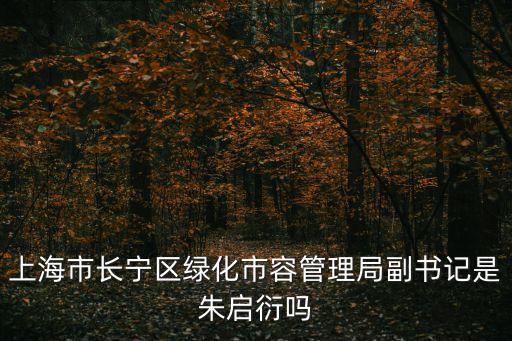 上海市市容所長，上海市長寧區綠化市容管理局副書記是朱啟衍嗎