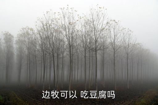 狗能吃豆腐嗎,狗狗能吃豆腐嗎?狗狗當然能吃