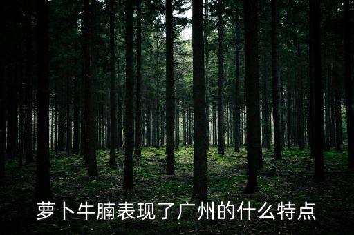 蘿卜牛腩表現了廣州的什么特點