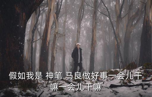 假如我是神筆馬良,假如我是神筆馬良500字作文