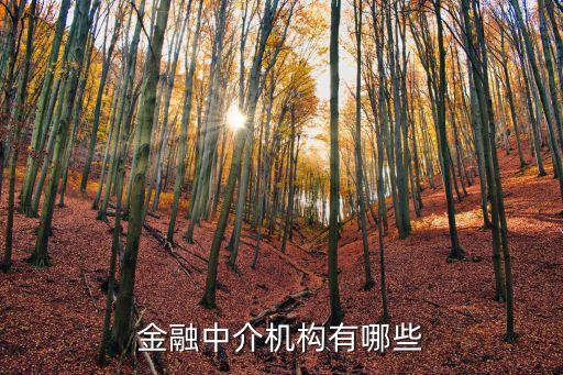 金融中介機構有哪些