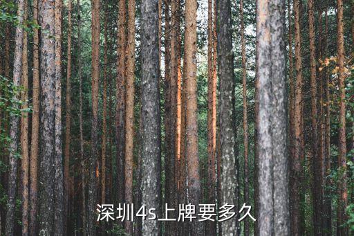 深圳驗(yàn)車上牌要多久，深圳4s上牌要多久