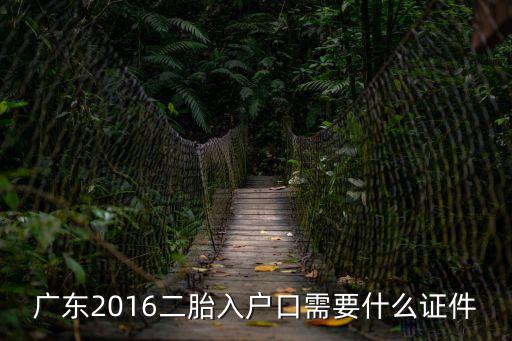 廣東2016二胎入戶口需要什么證件