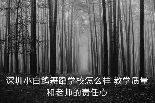 深圳小白鴿舞蹈學(xué)校怎么樣 教學(xué)質(zhì)量和老師的責(zé)任心