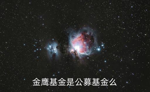 金鷹基金和廣州證券，金鷹基金是公募基金么