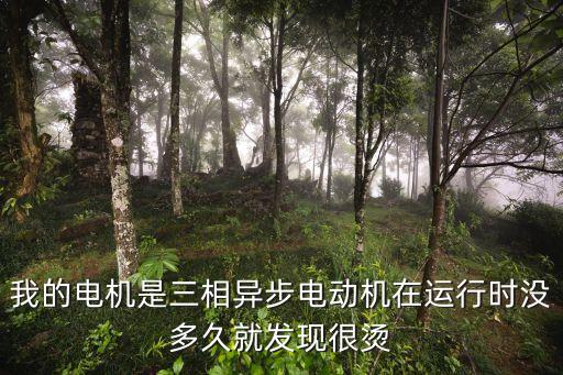 我的電機(jī)是三相異步電動機(jī)在運(yùn)行時沒多久就發(fā)現(xiàn)很燙