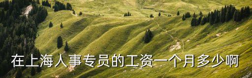 上海市人才服務中心工資待遇，上海人事專員的工資一般是多少呢